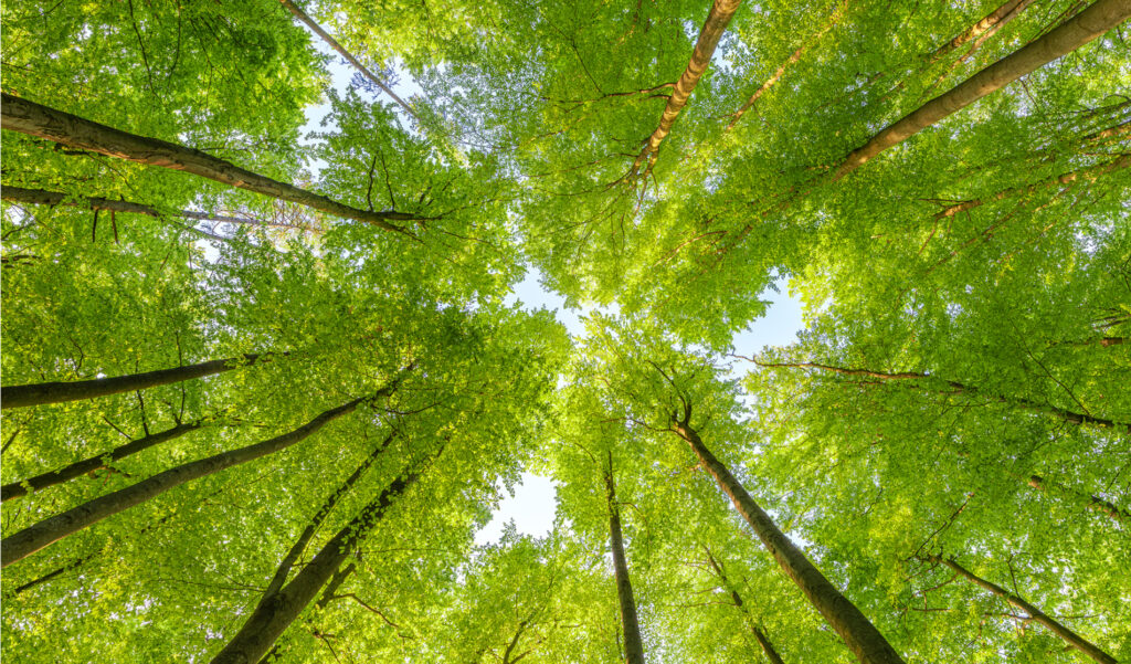 altona sustainability